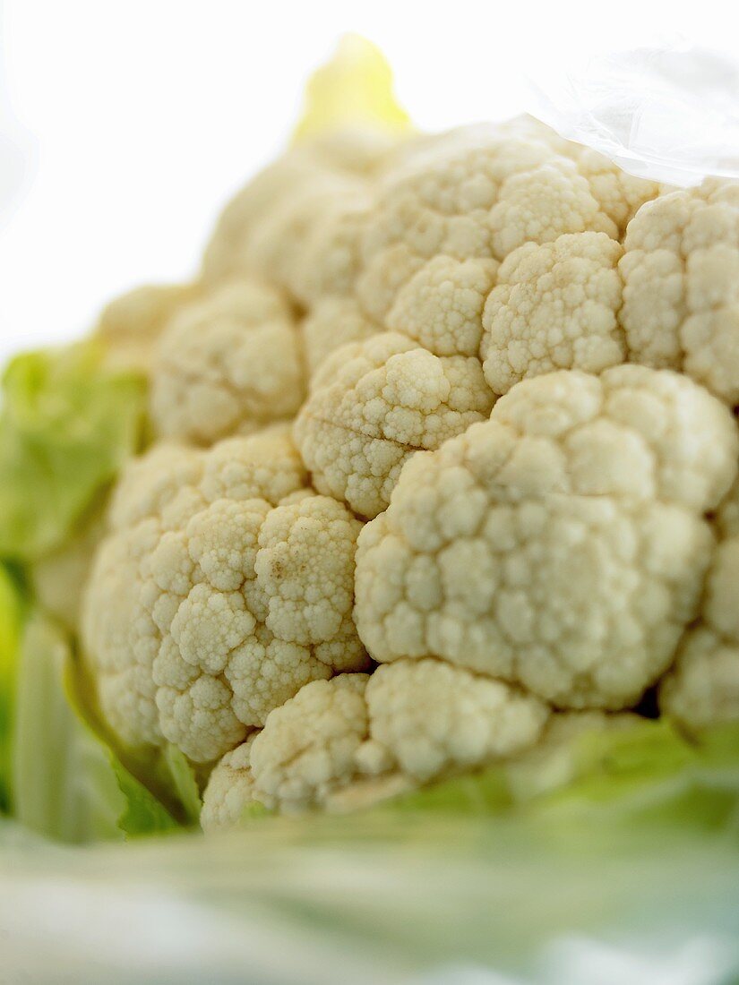 Blumenkohl (Close Up)