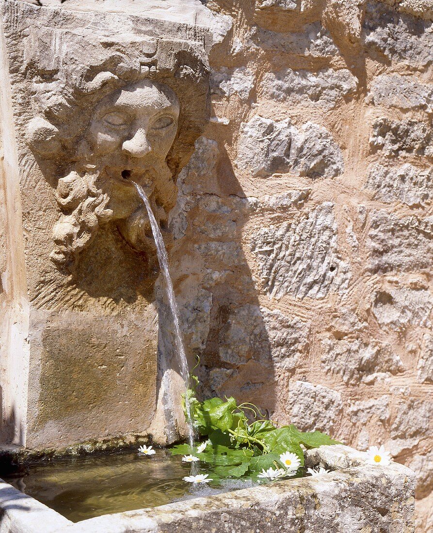 Wasserspeier mit Brunnen