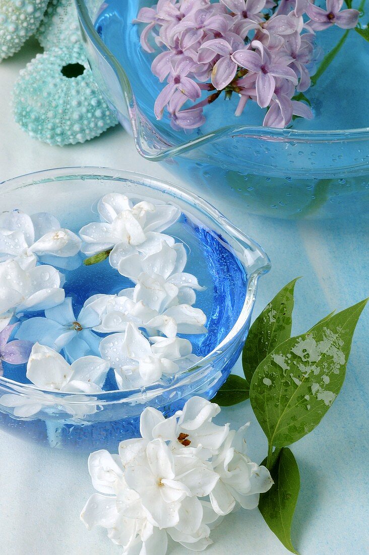 Lilac flowers in bowls