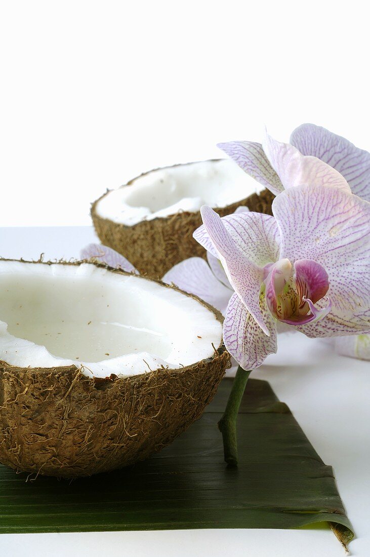 Kokosnusshälften und Orchideenblüten