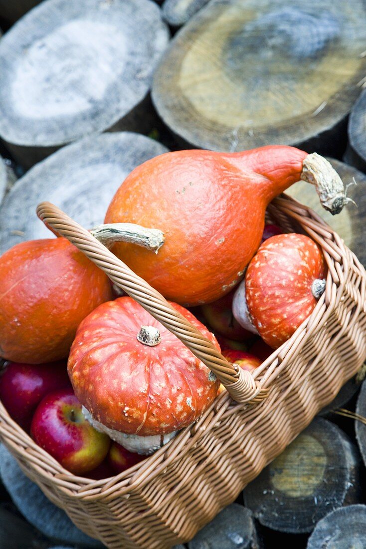 Squashes and apples in a basket