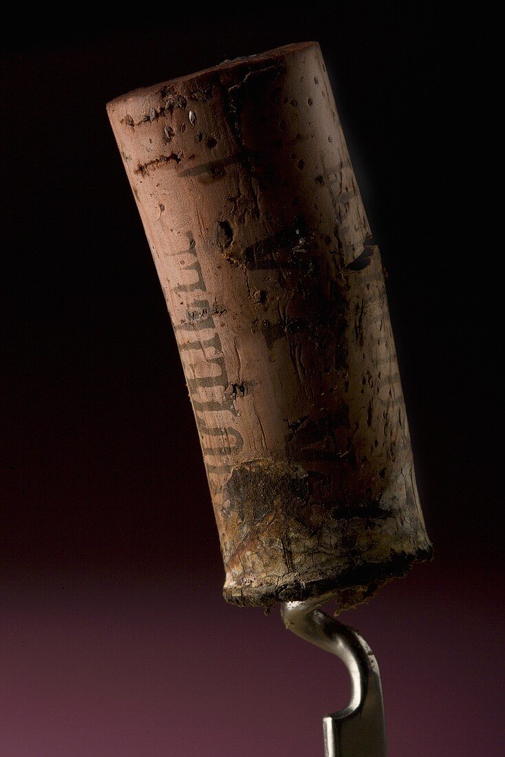 Wine cork on corkscrew