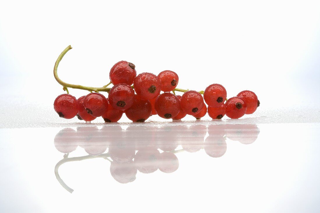 A bunch of redcurrants