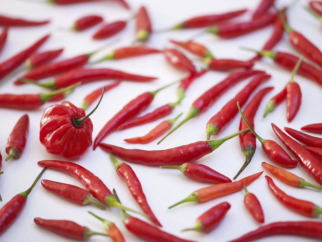 Red chillies