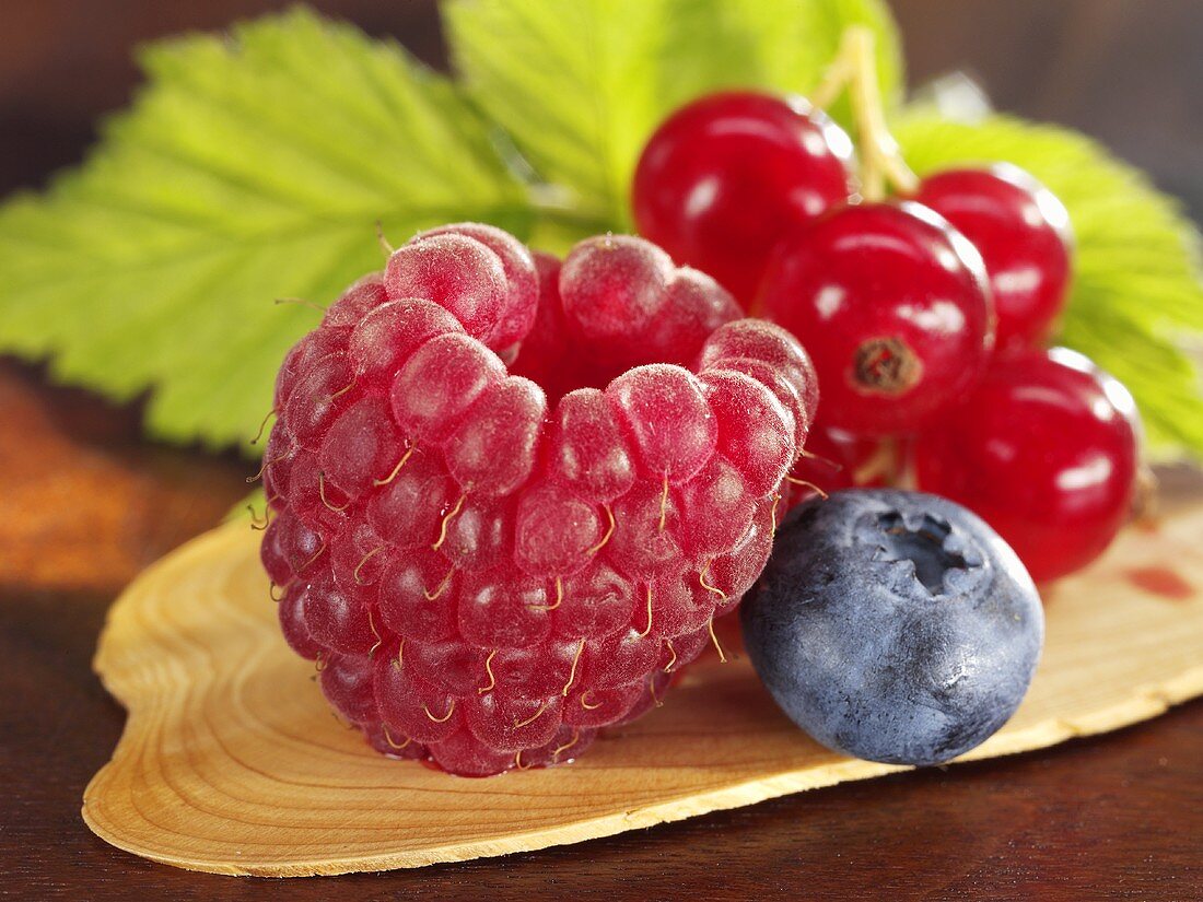 Raspberry, blueberry and redcurrants