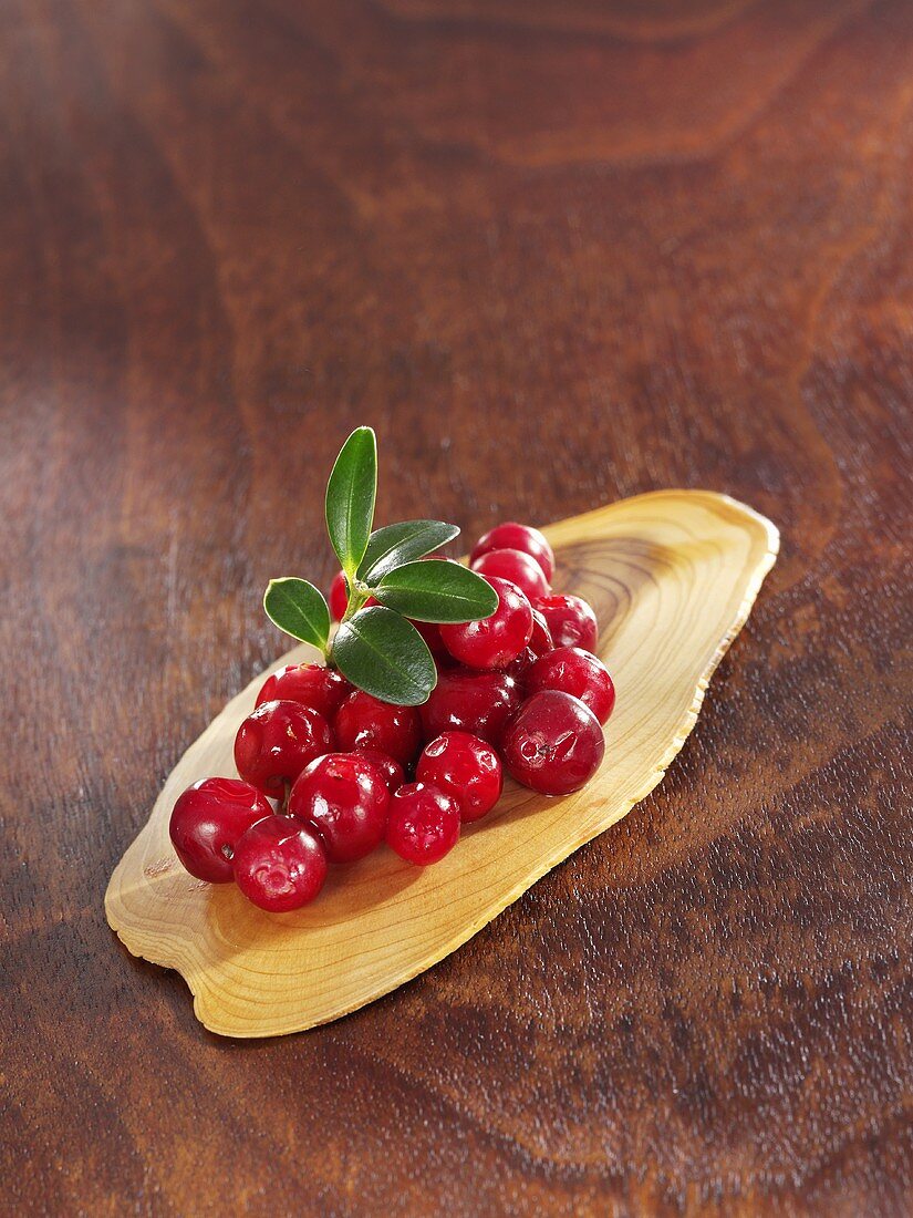 Preiselbeeren mit Blättern