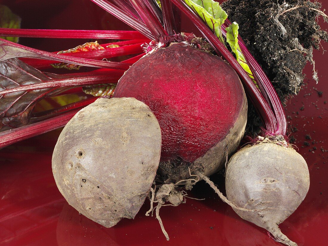 Beetroots with soil