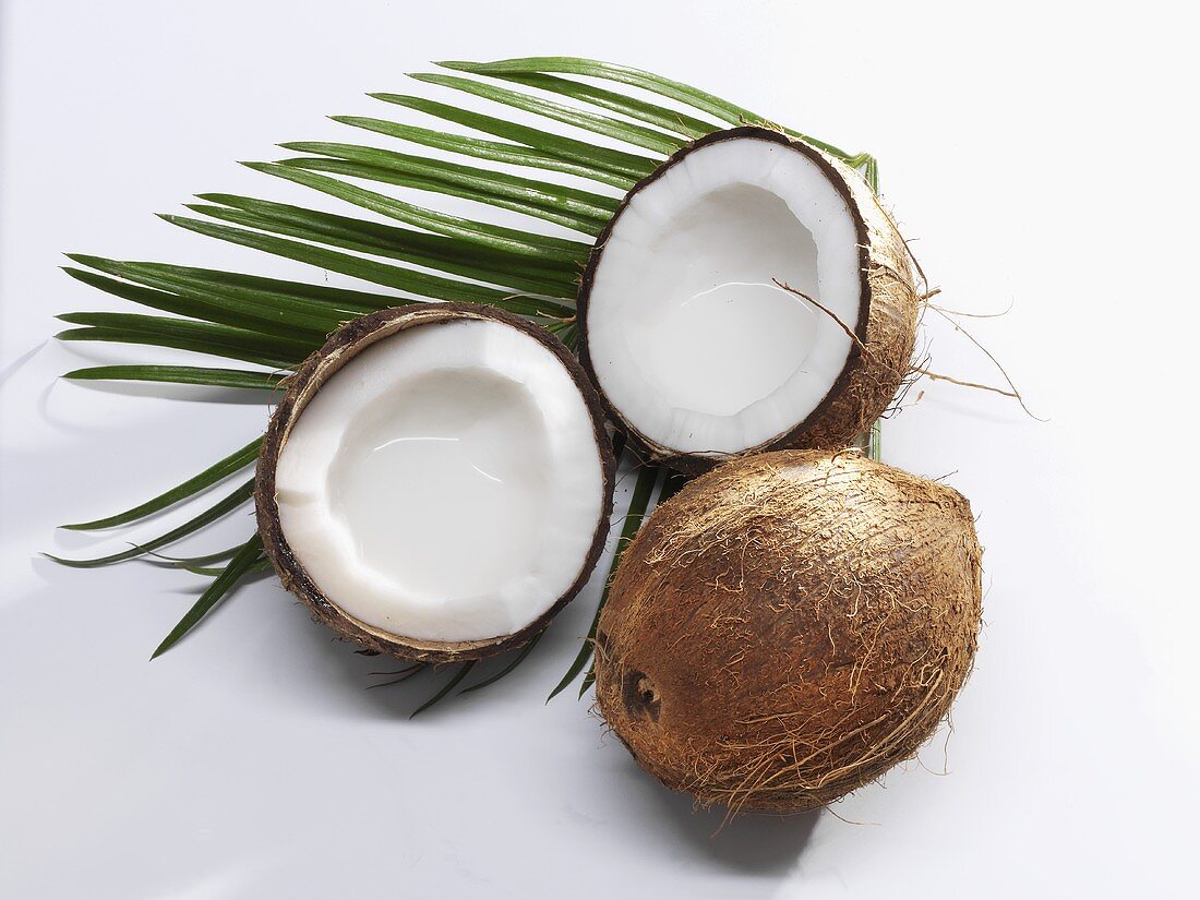Coconuts, whole and halved, and palm leaf