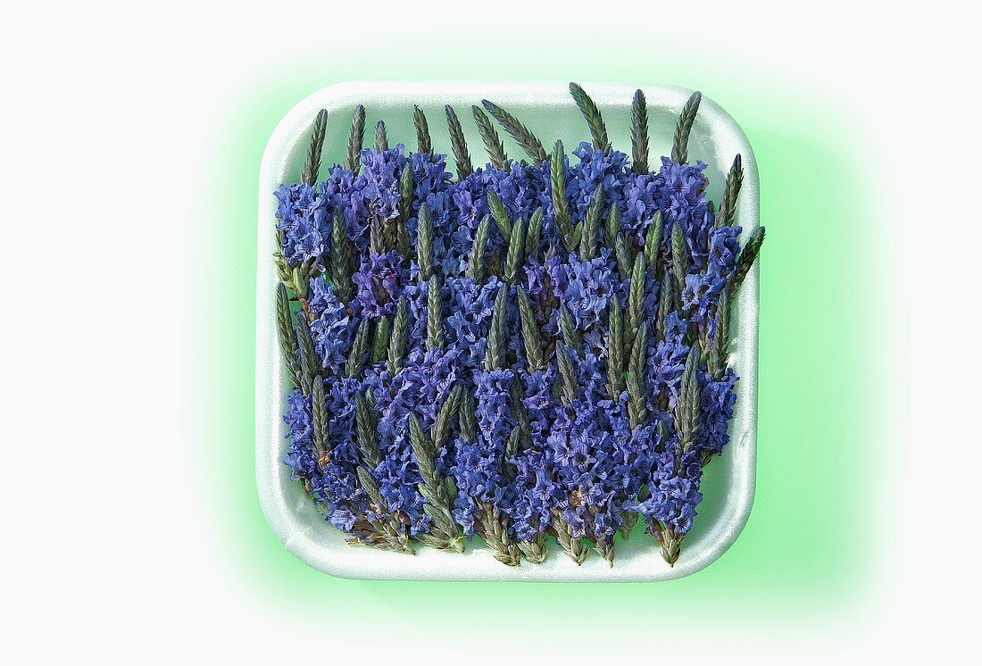 Lavender flowers in a polystyrene tray