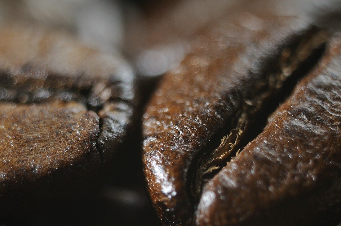 Coffee beans (close-up)