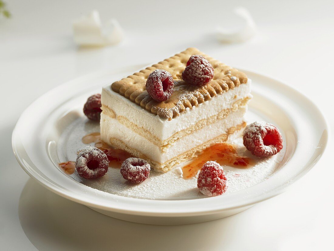 An ice cream cake with biscuit and raspberries