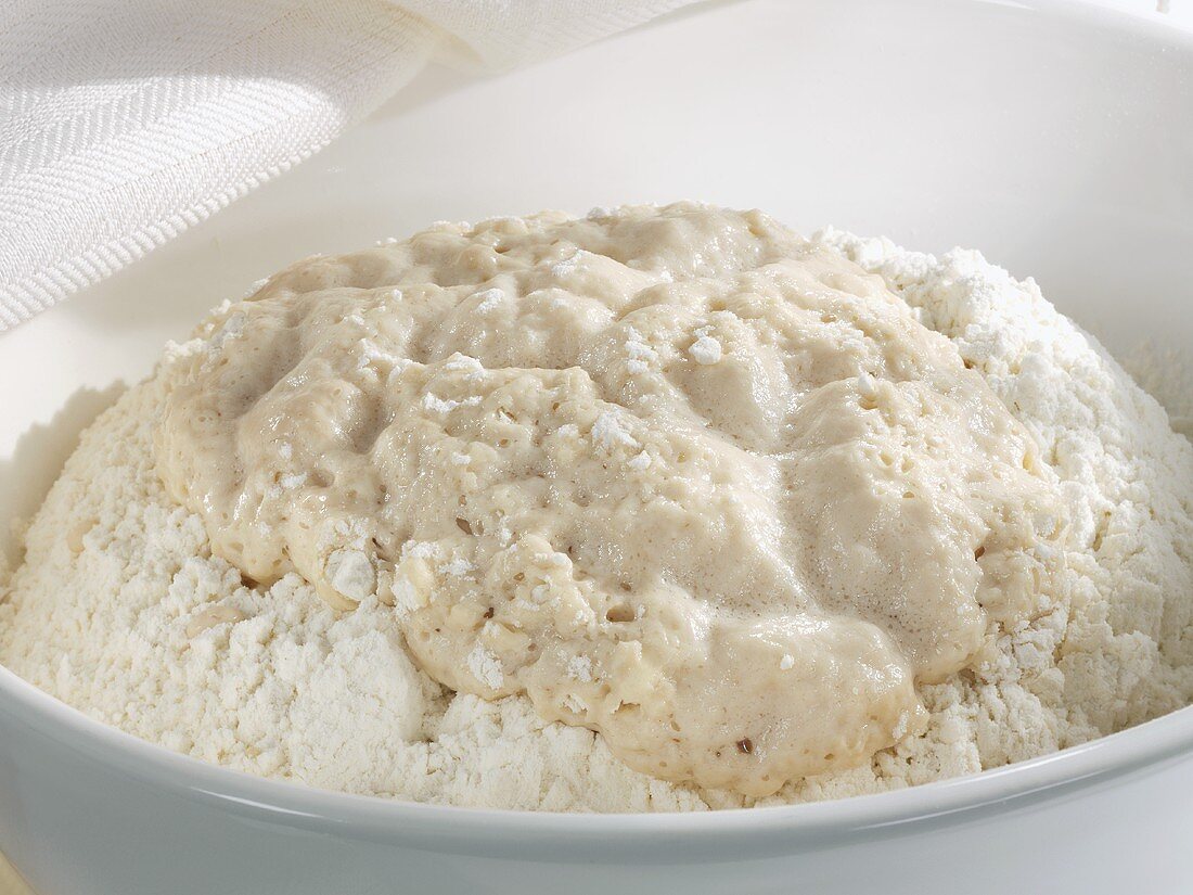 Yeast dough (yeast sponge)