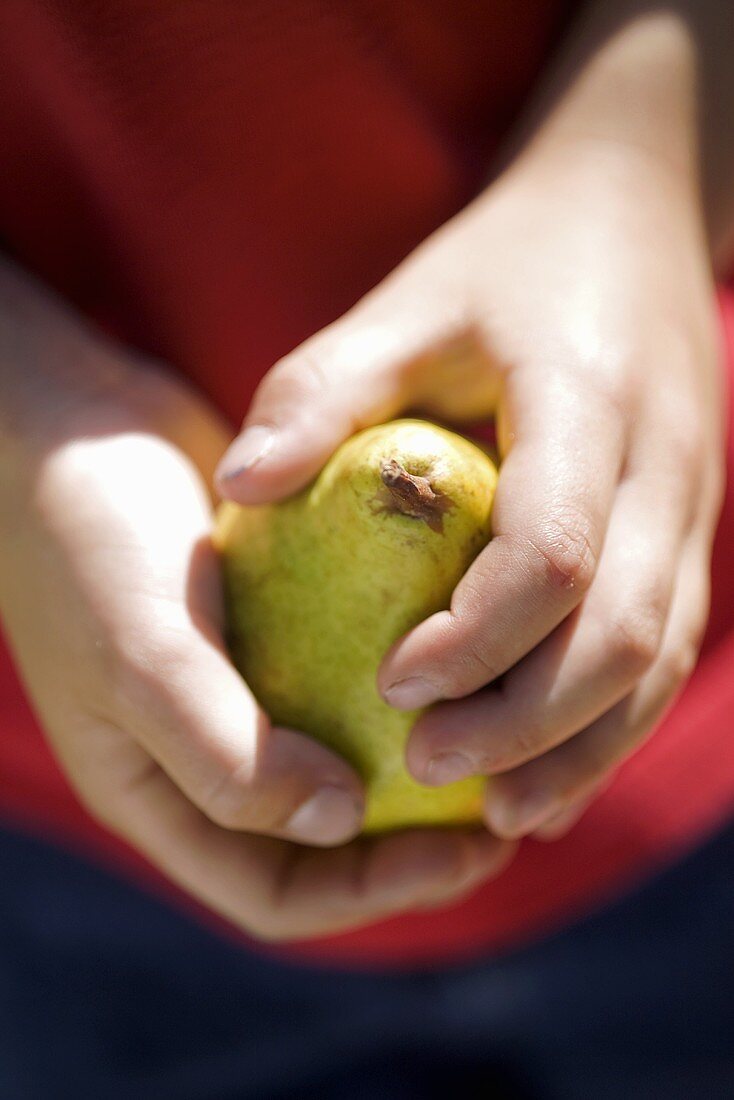 Child's hands holding a pear