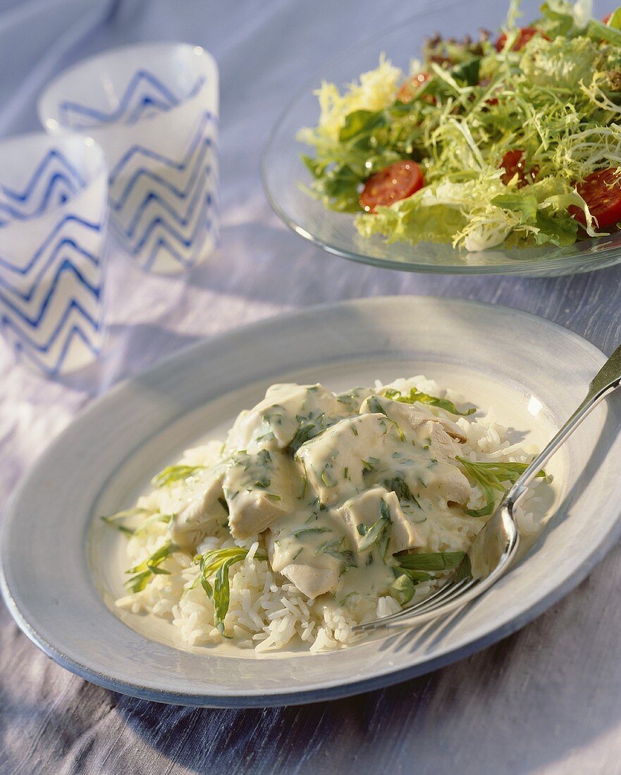 Chicken in a creamy herb sauce on a bed of rice