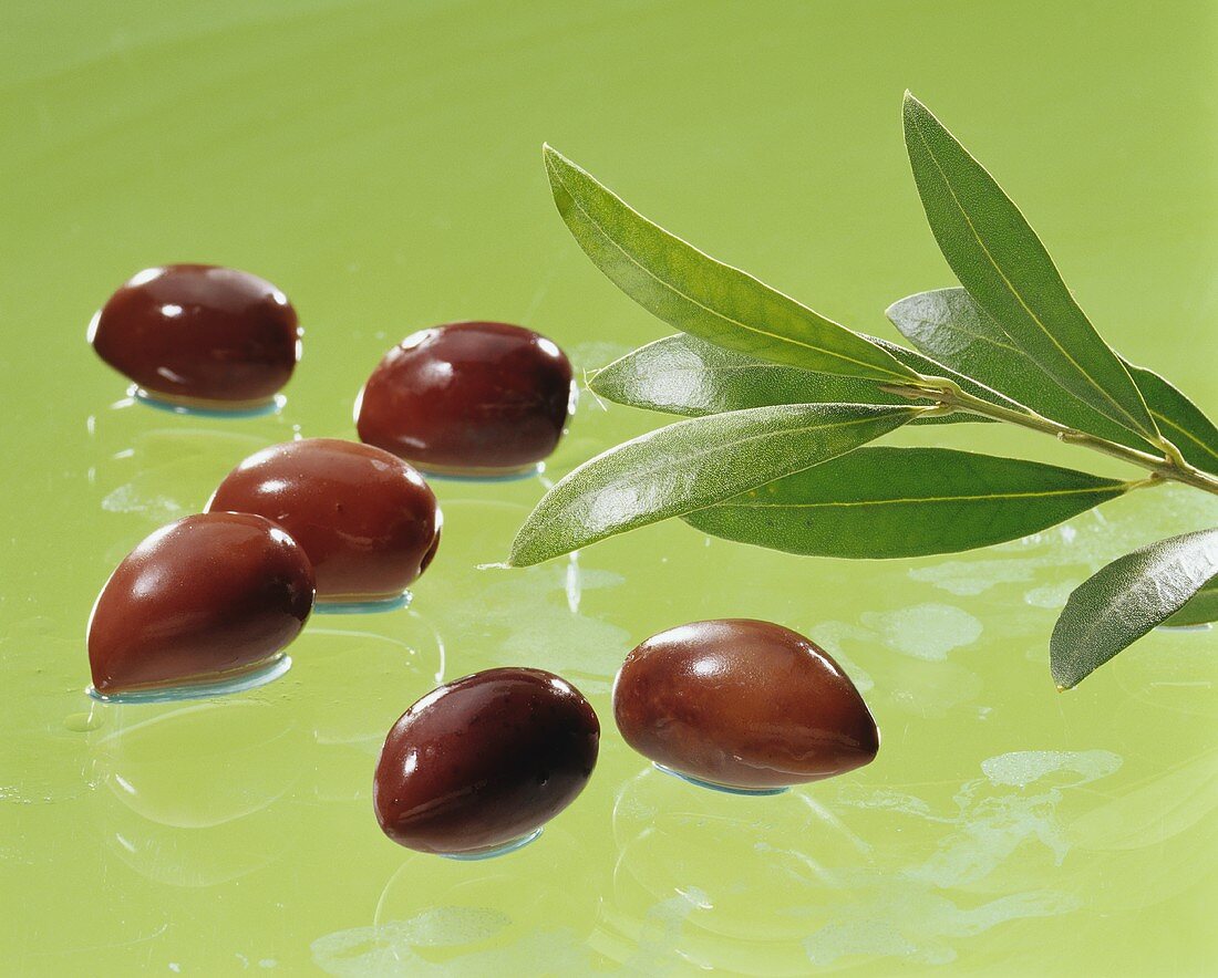 Olives with olive sprig