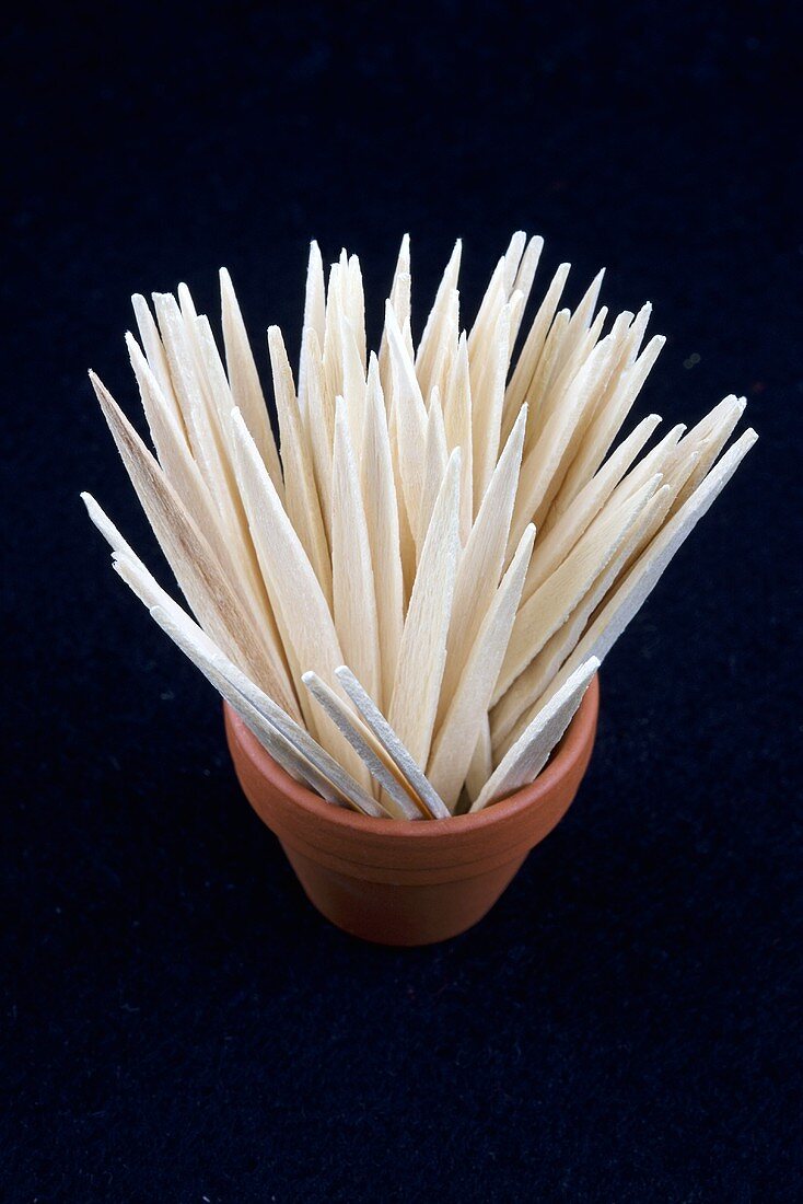 Spanish toothpicks in a terracotta pot