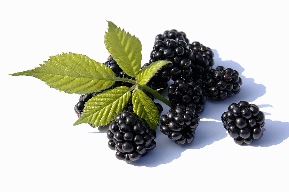 Fresh blackberries with leaves