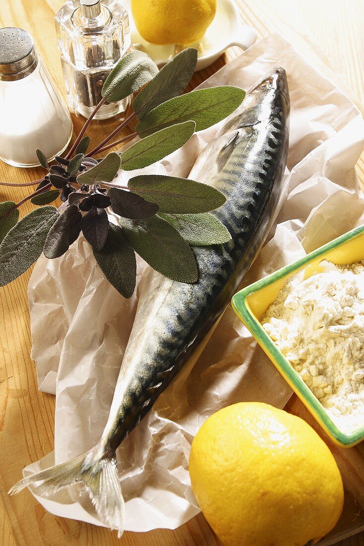 Fresh mackerel, flour, lemon and sage