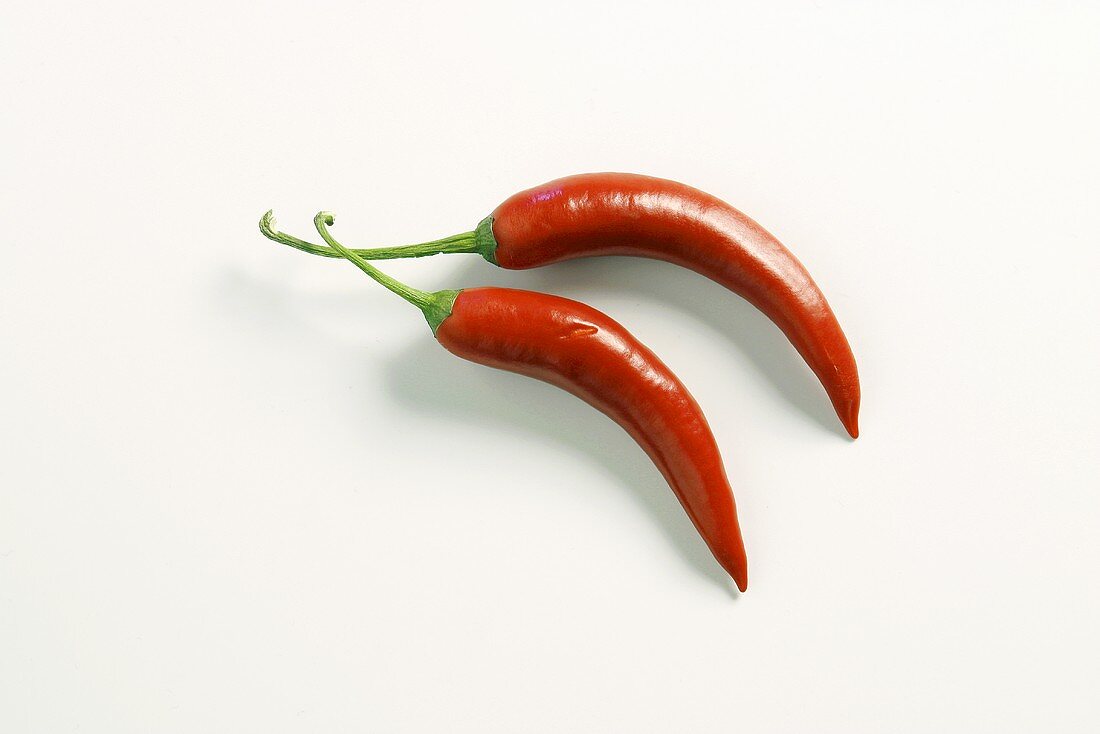 Two chillies on white background