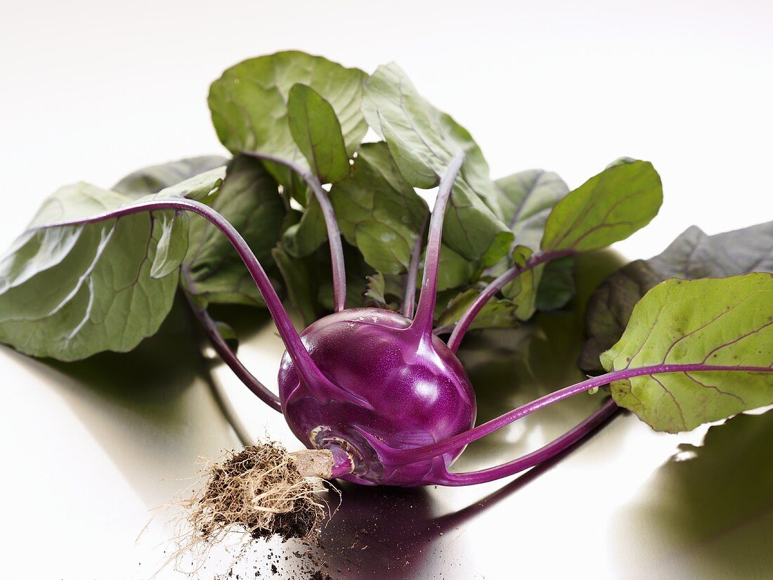 A purple kohlrabi with leaves and roots