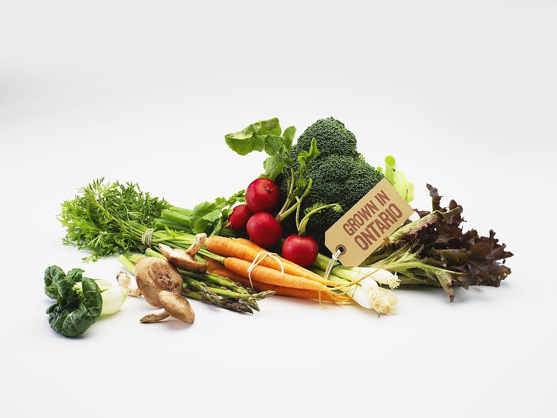 Various types of vegetables and mushrooms with a label