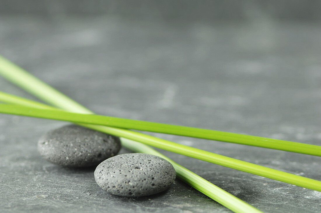 Pebbles and papryus sedge