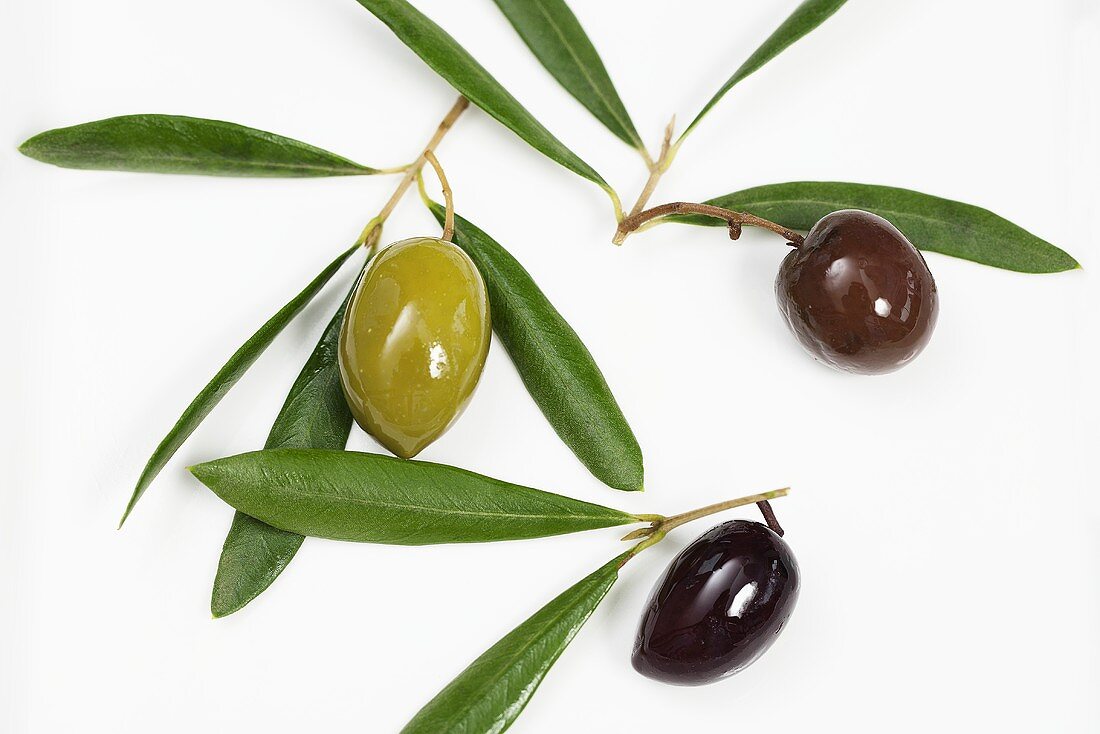 Drei verschiedene Oliven mit Blättern