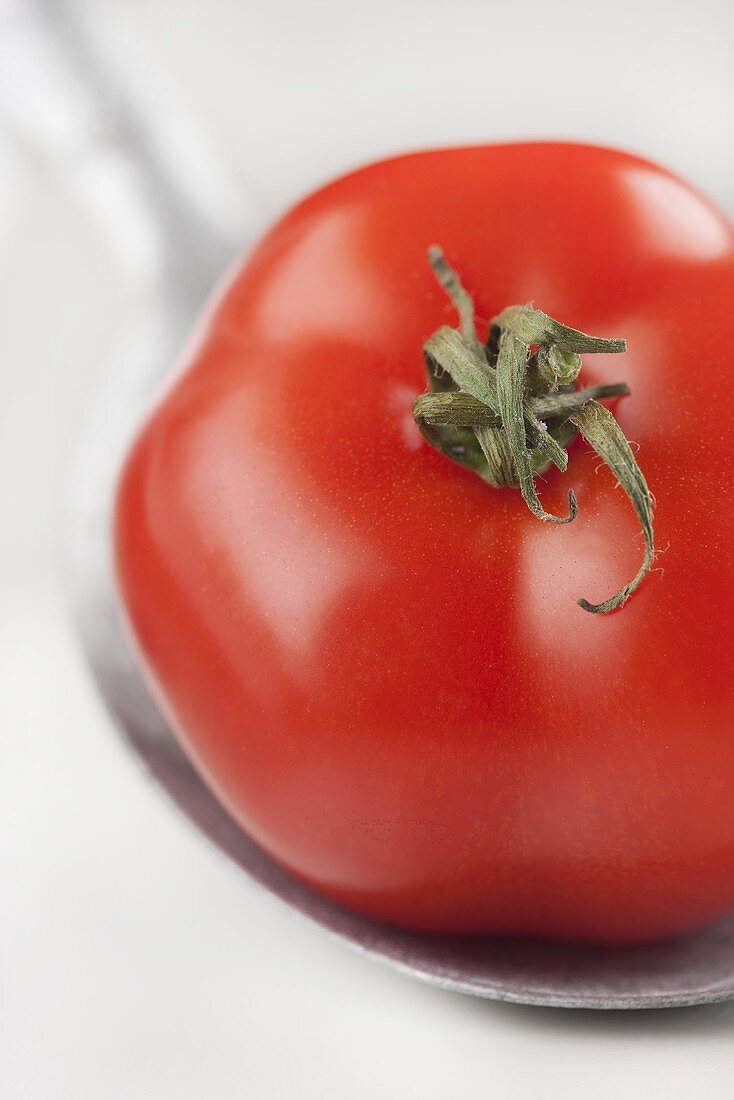 Eine Tomate auf Löffel (Nahaufnahme)
