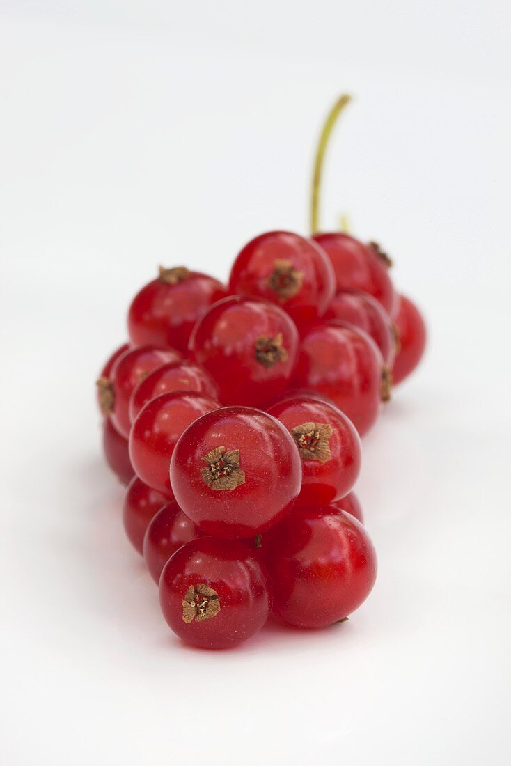 Rote Johannisbeeren