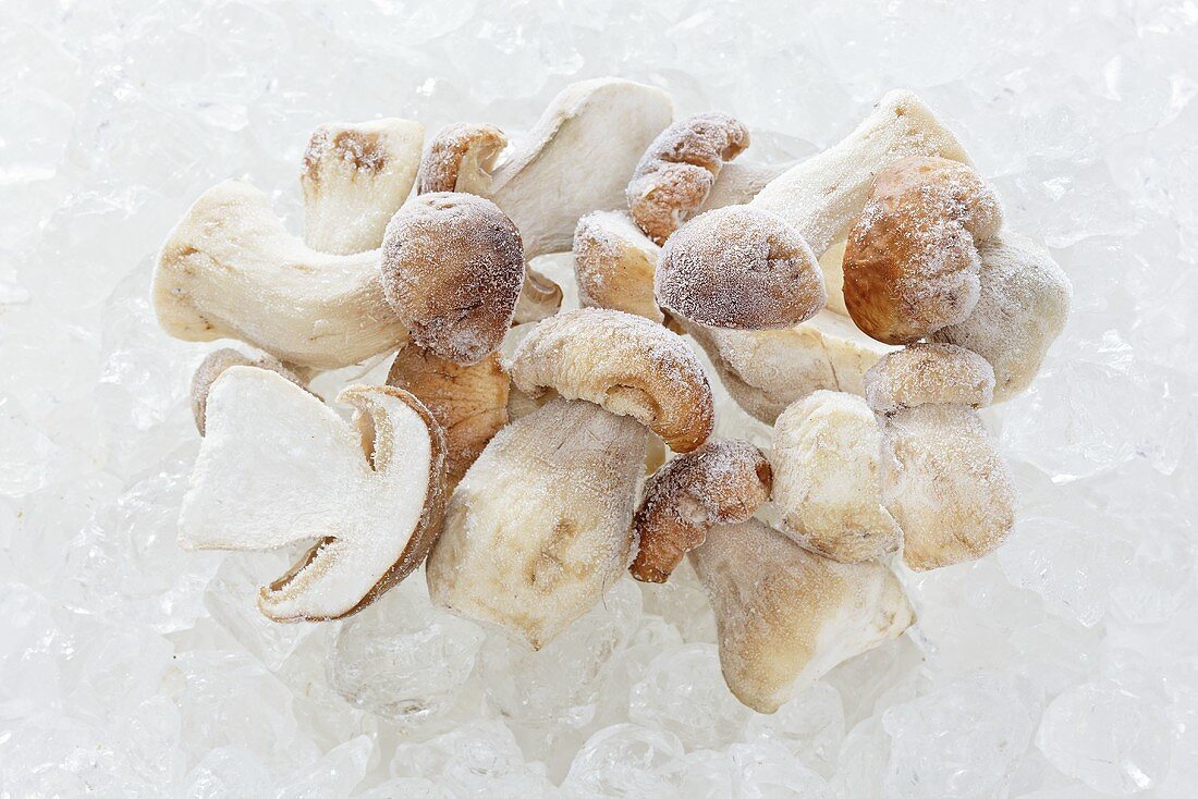 Frozen porcini mushrooms