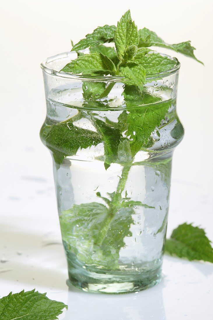 Peppermint in a glass of water