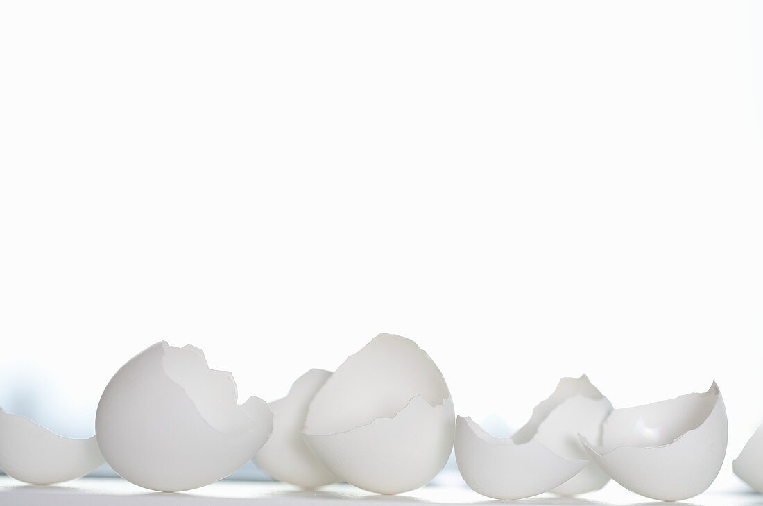 White egg shells