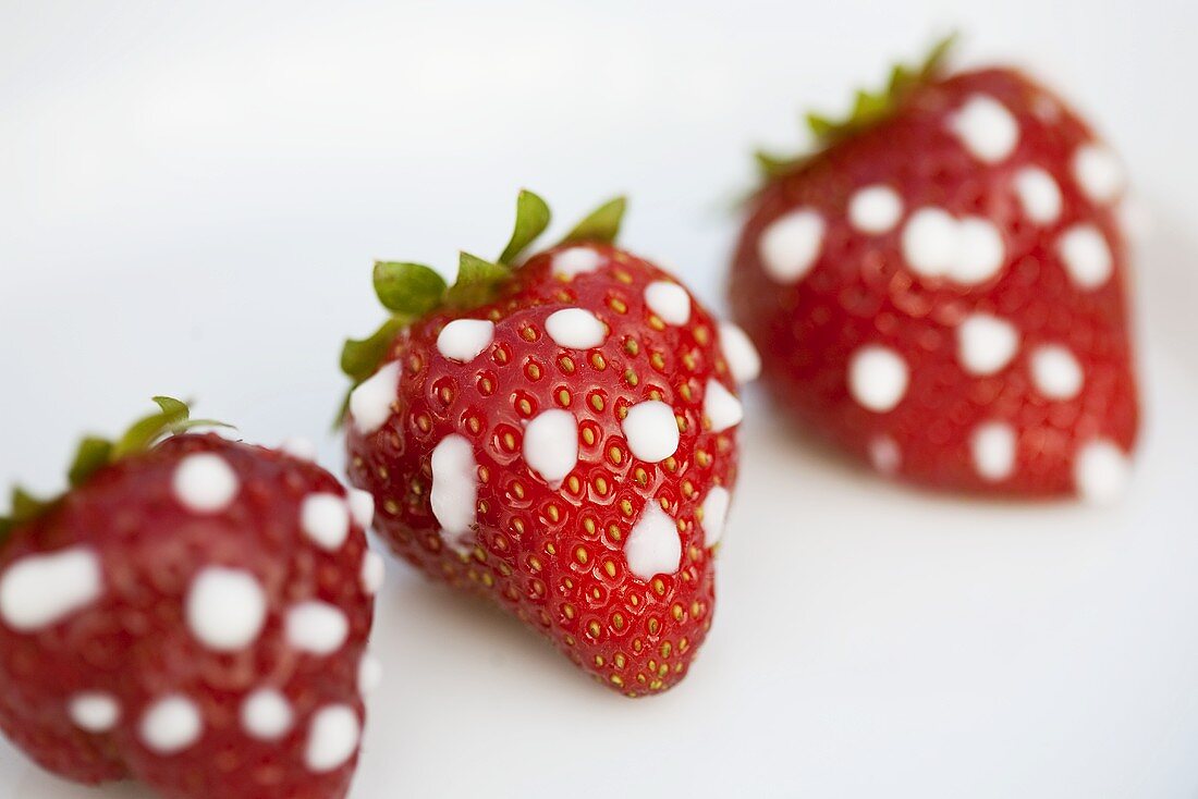 Strawberries with icing sugar dots