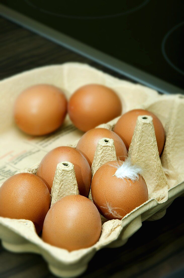 Eier mit Feder im Eierkarton