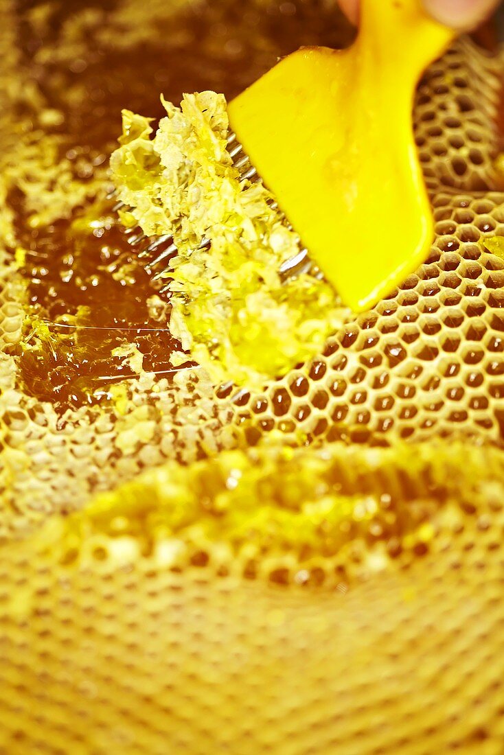 Honigzellen von Gabel entdeckelt