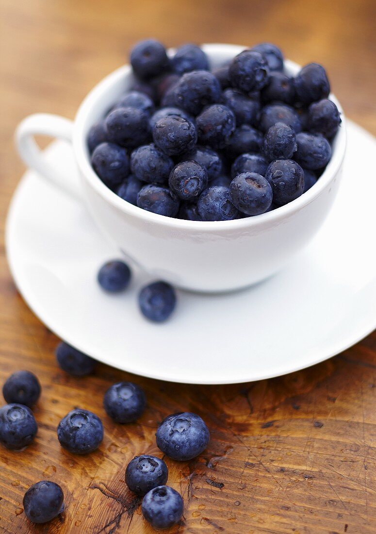 Fresh Blueberries in a White Coffee Cup