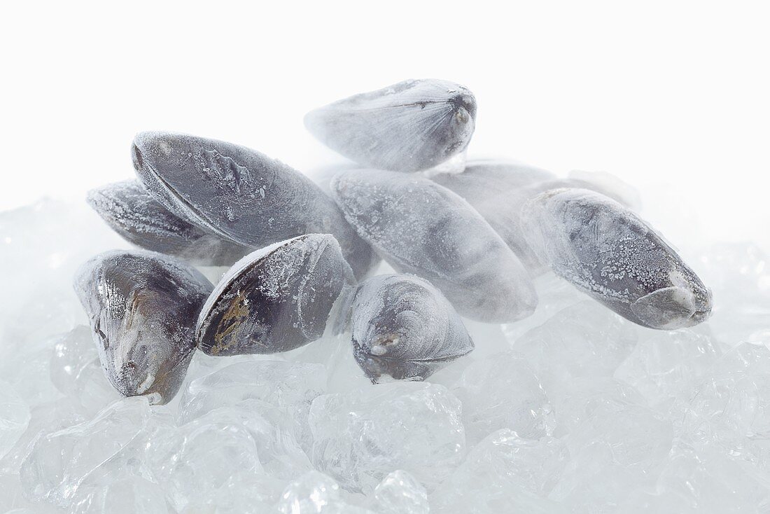 Frozen mussels