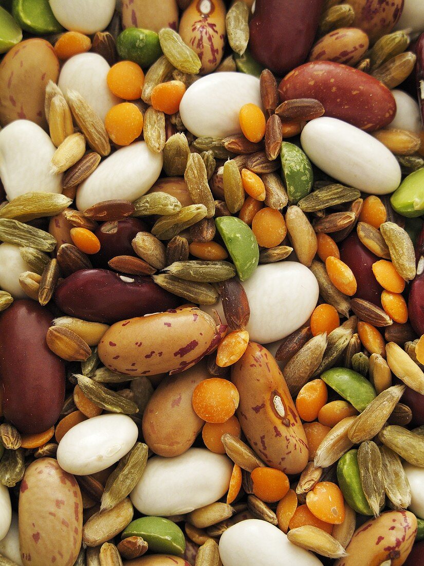 Beans, lentils, peas and corn (macro zoom)