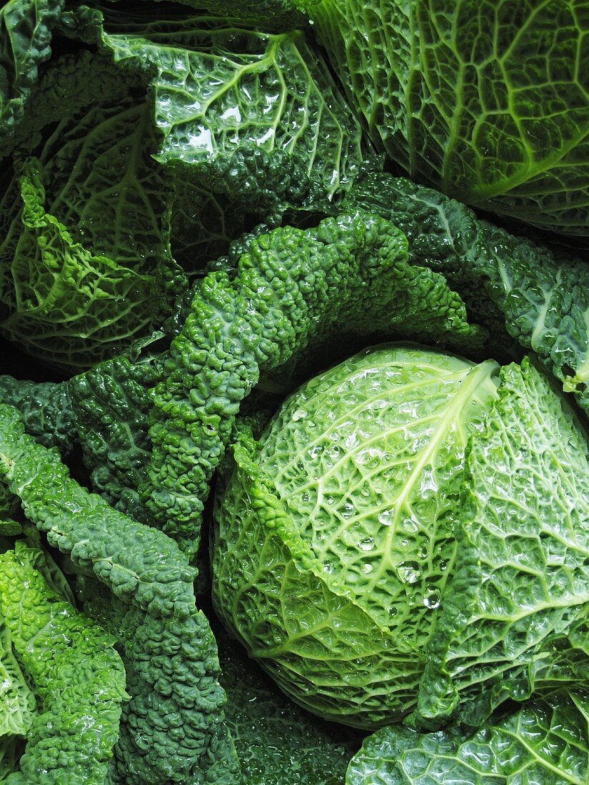 Savoy cabbage, seen from above (close-up)
