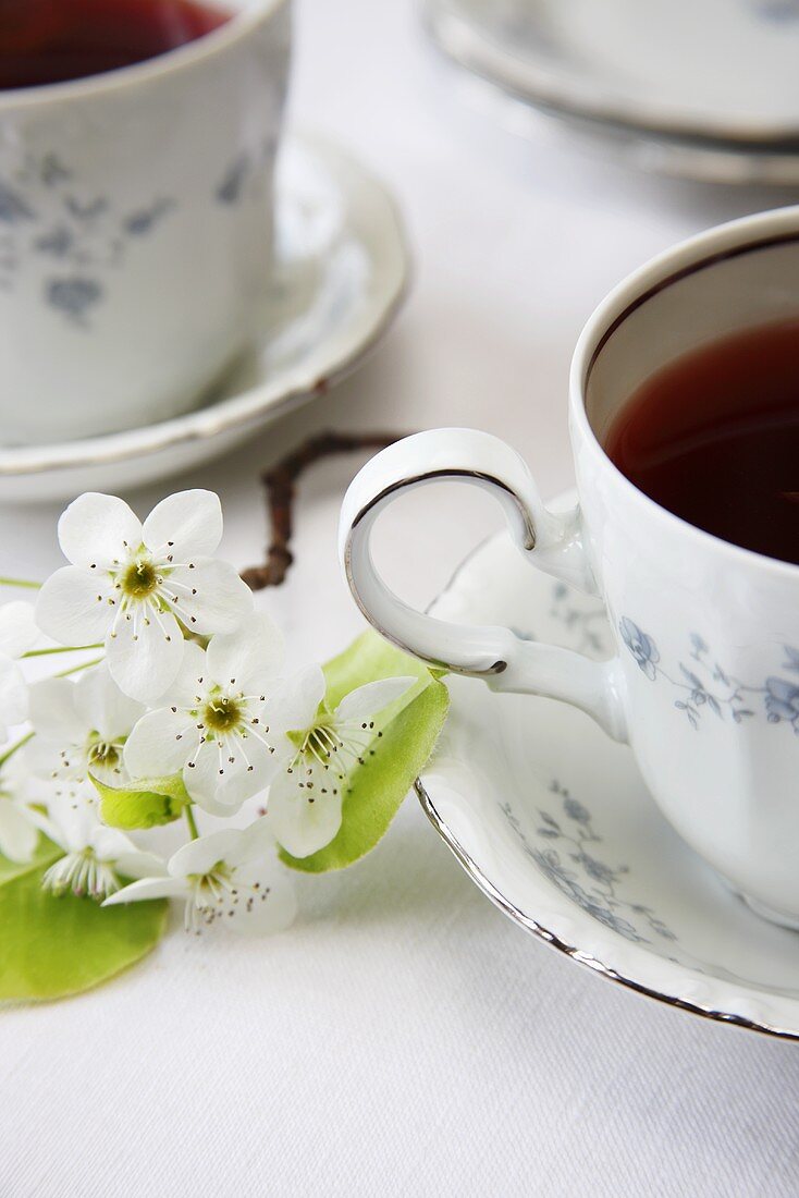 Two Cups of Tea with White Spring Flowers