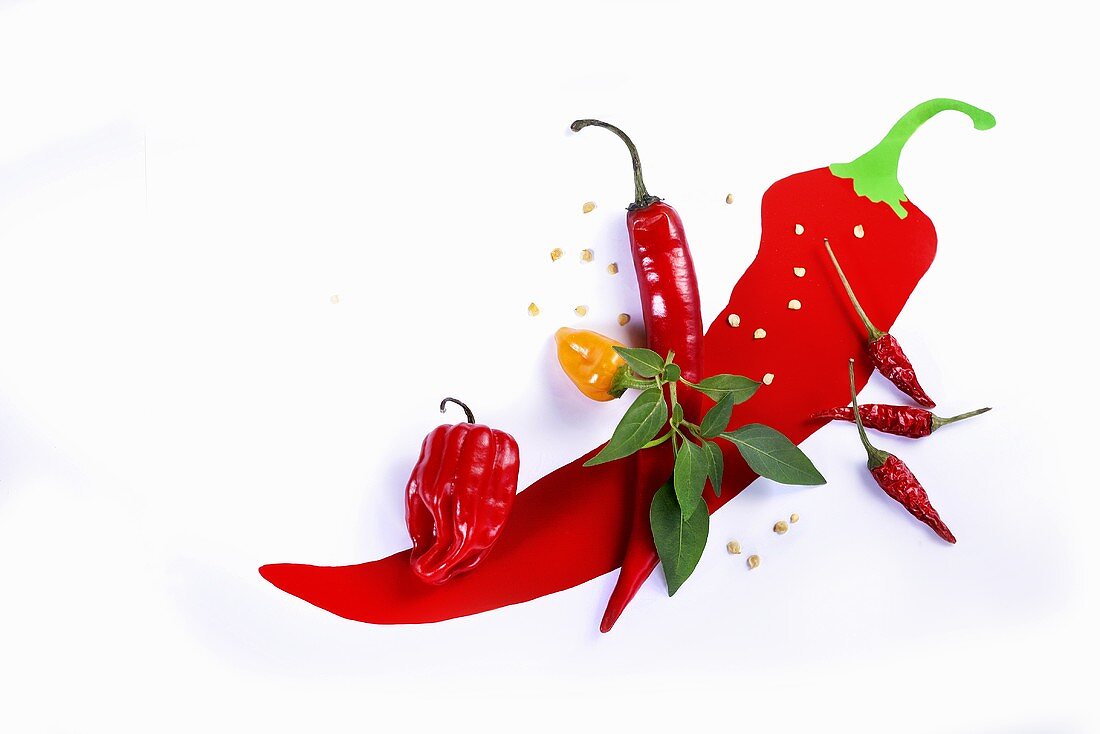 Various fresh chilli peppers on a picture of a chilli pepper