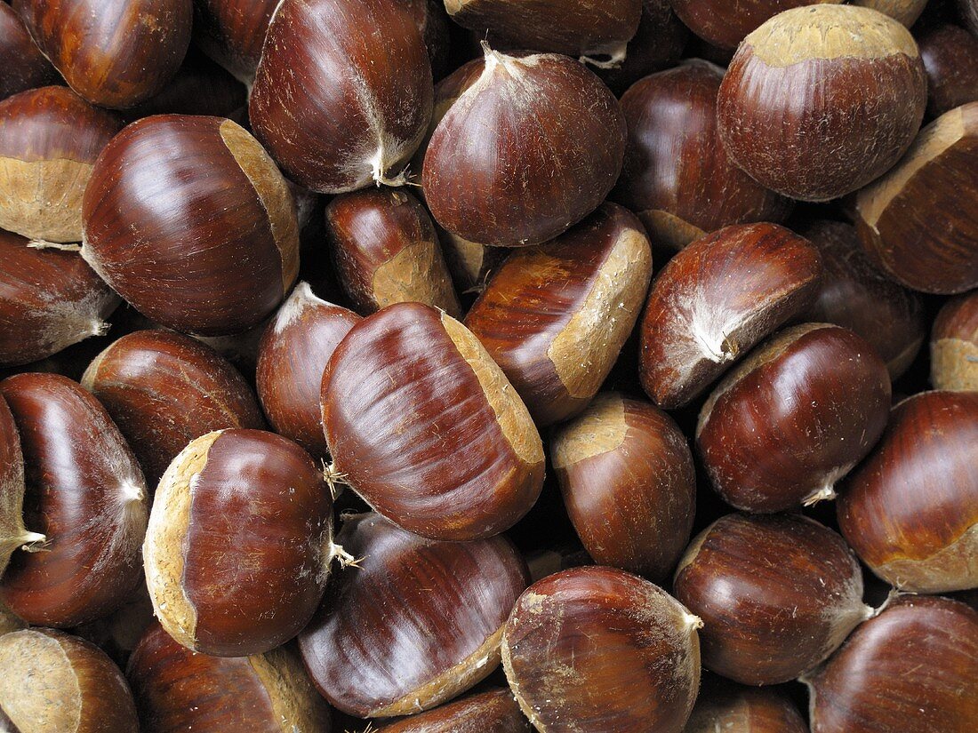 Chestnuts (macro zoom)