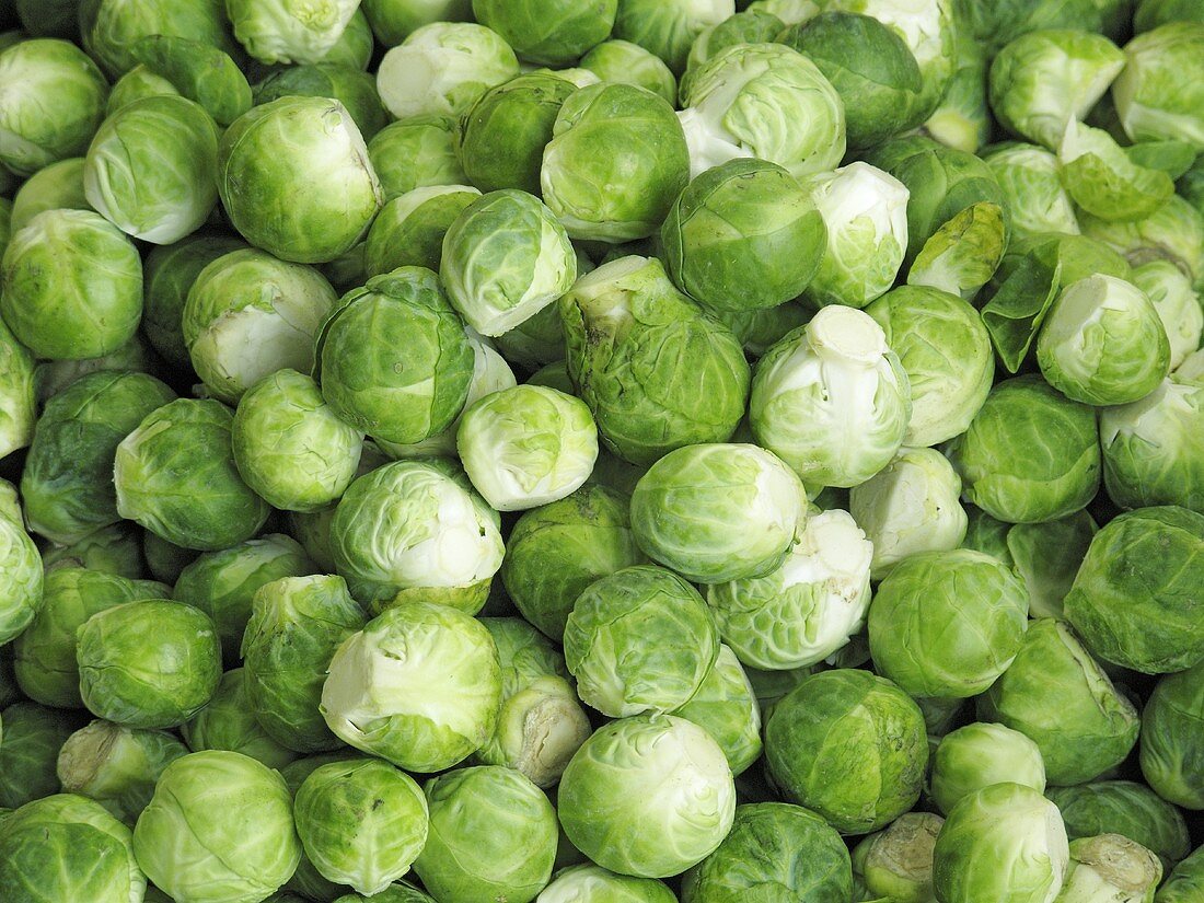 Fresh brussels sprouts (macro zoom)