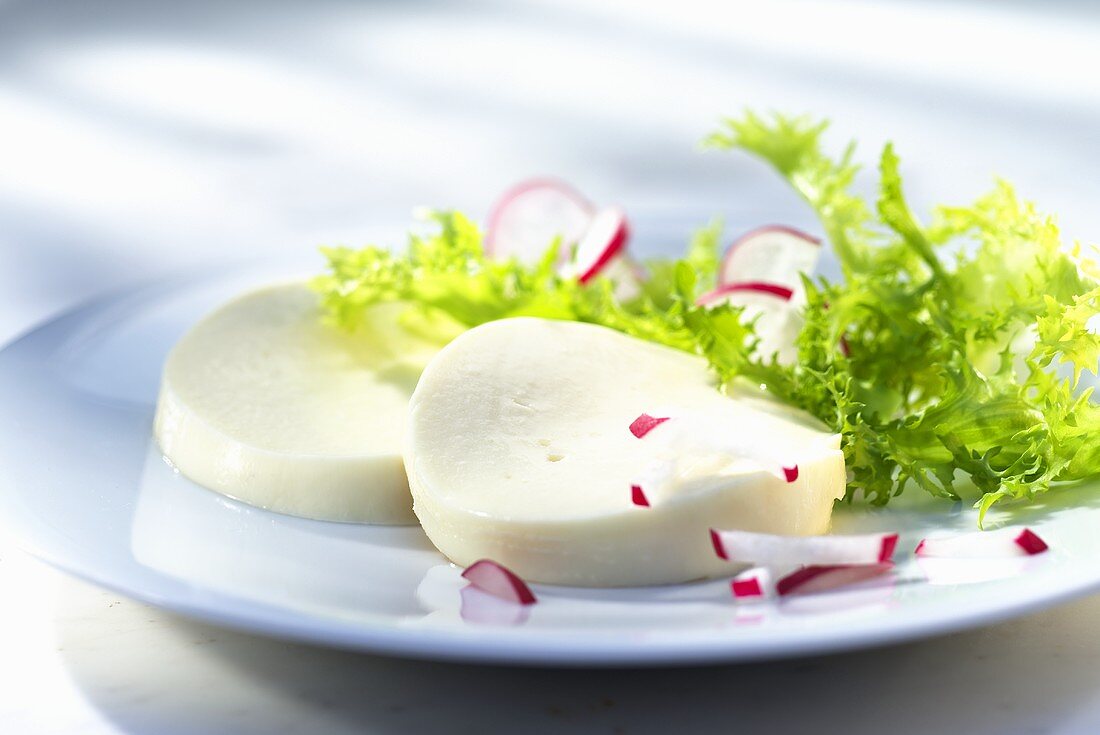 Mozzarella mit Radieschen und Friseesalat