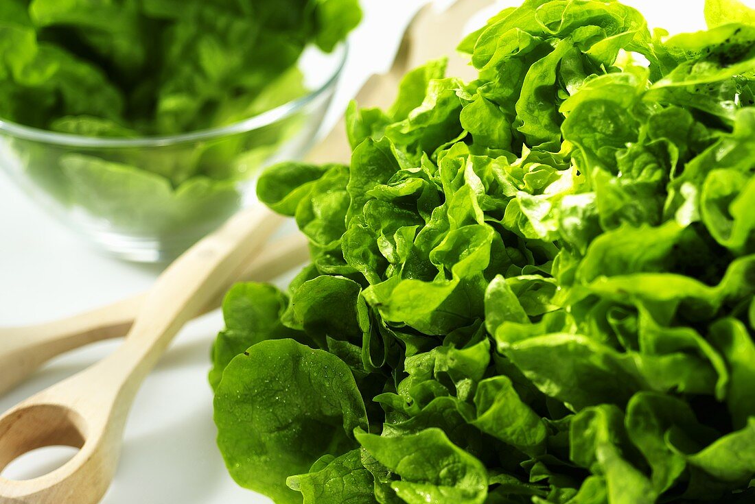 Grüner Salat und Salatbesteck