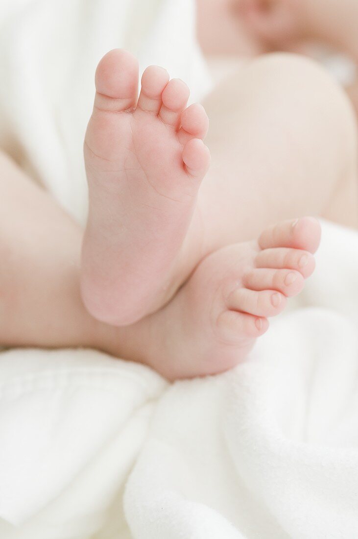 Baby feet on a white towel