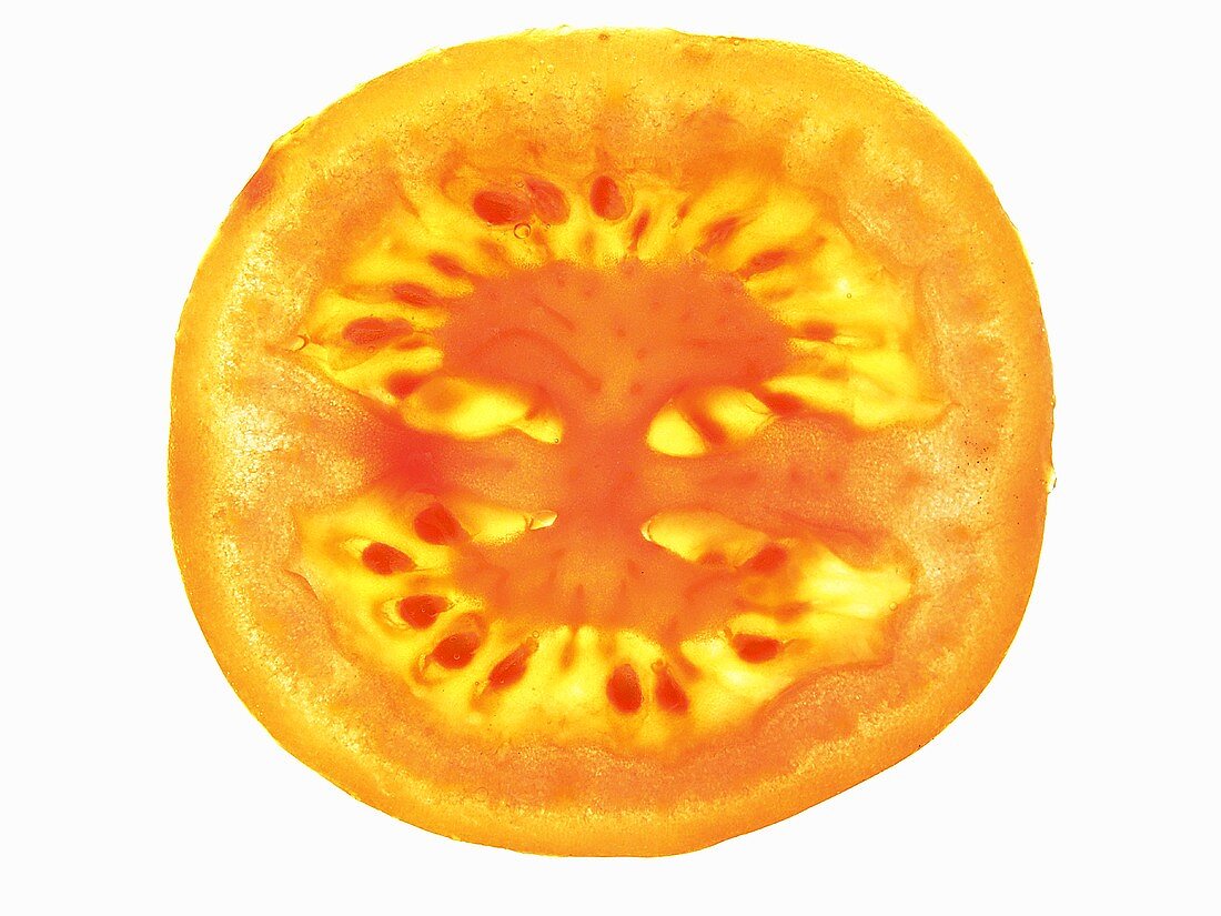 A tomato slice, lit from behind