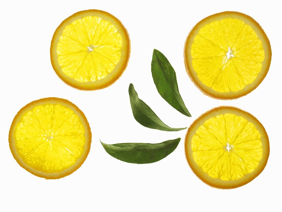 Four orange slices and leaves