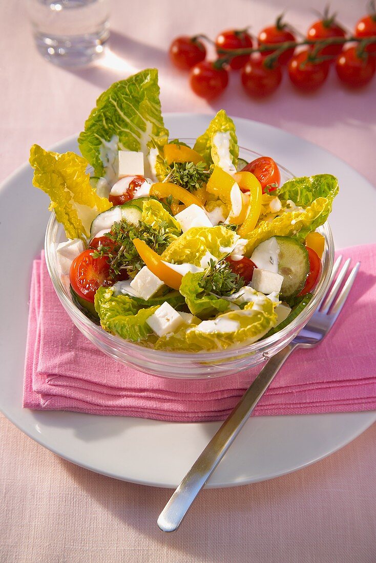 Salad leaves with vegetables, feta cheese and cress