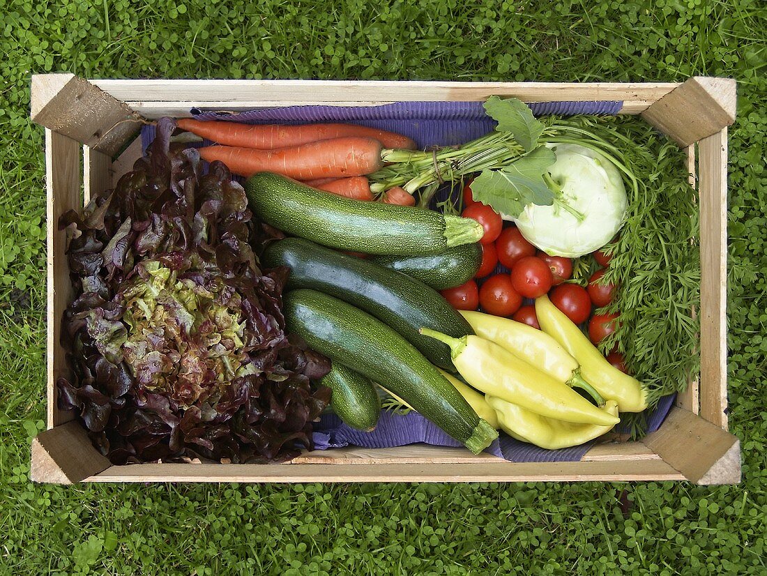 Kiste mit frischem Gemüse und Salat